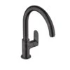 Hansgrohe Vernis Blend M35 - Mitigeur D&apos;évier, Noir Mat 71870670 -Cuisine Articles Magasin 0252e6eb13ee13eeee262872