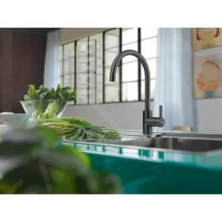 Franke Eos Neo - Mitigeur D&apos;évier FC 0044.502 Noir 115.0613.590 -Cuisine Articles Magasin 68fba5df2517fd96f5959f72